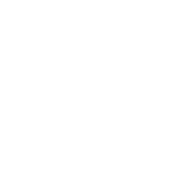 White Owl Icon